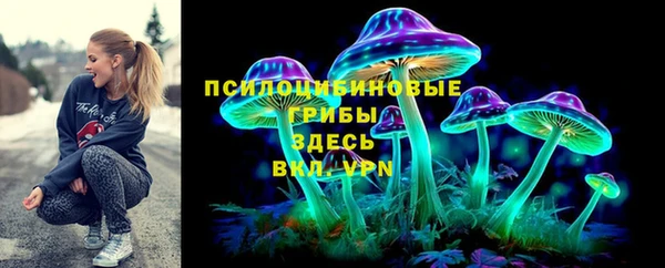 бошки Переславль-Залесский