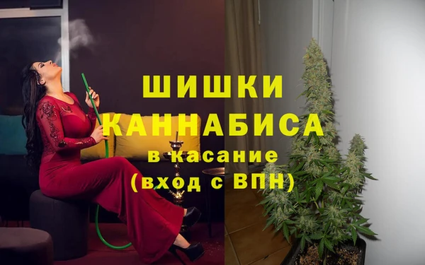 амф Пестово