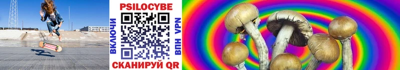 Купить закладки  Амурск  Псилоцибиновые грибы Psilocybine cubensis 